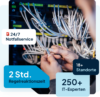 IT-Systemadministrator hält ein Netzwerkkabel vor einem Netzwerkschrank mit vielen angeschlossenen Kabeln